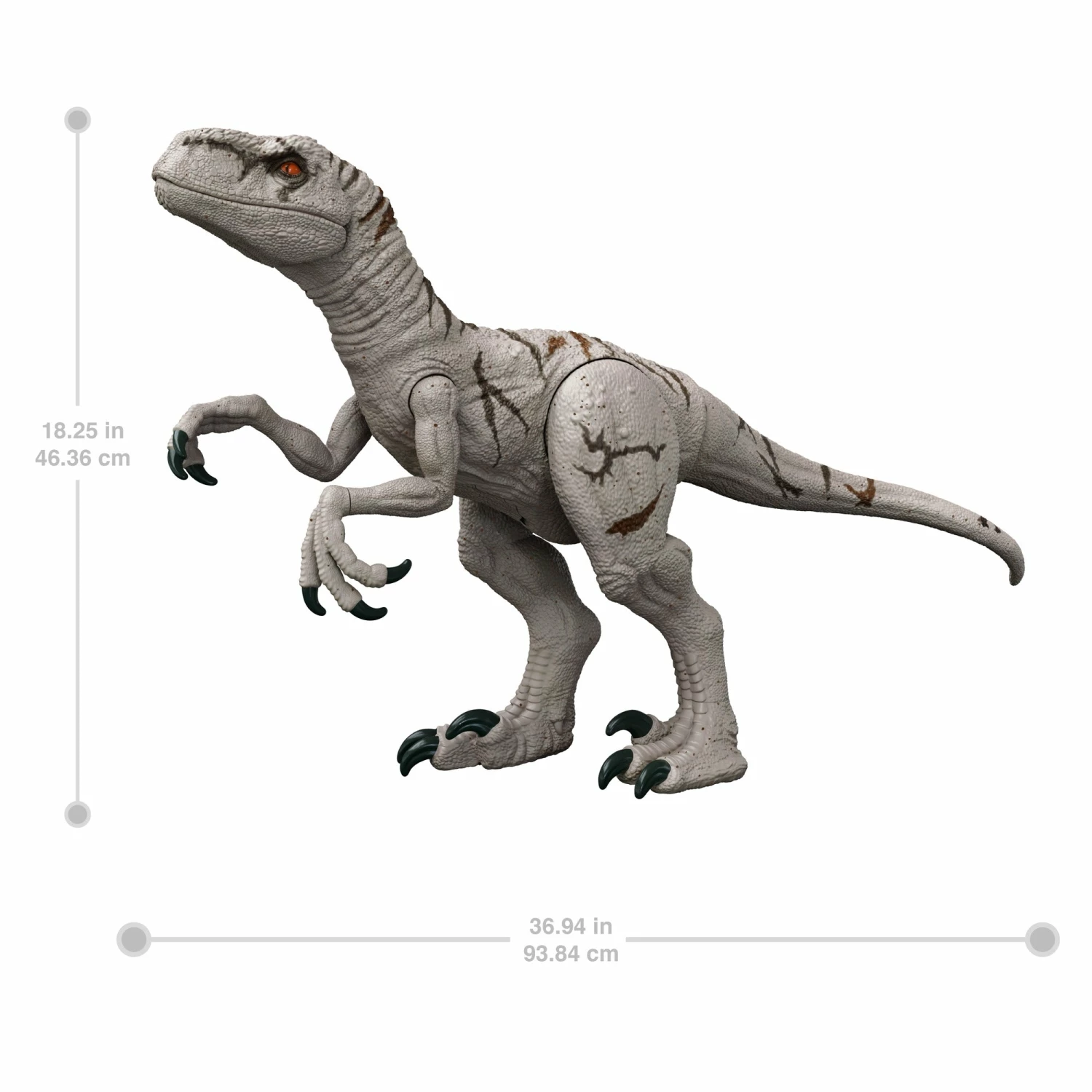JURASSIC WORLD SUPER COLOSSAL ATROCIRAPTOR - Image 4